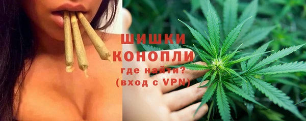 кокс Елизово