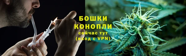 сатива Осташков