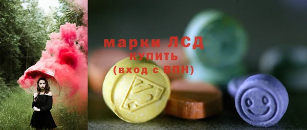кокс Елизово