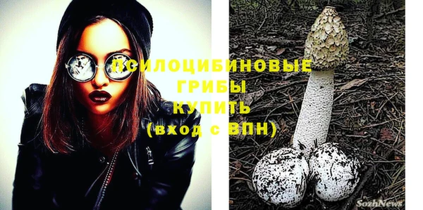 прущий лед Осинники