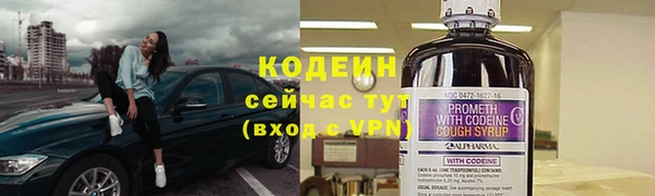 сатива Осташков