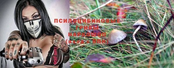 сатива Осташков