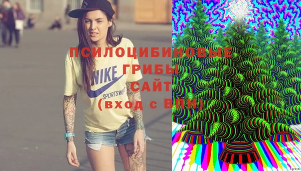 прущий лед Осинники