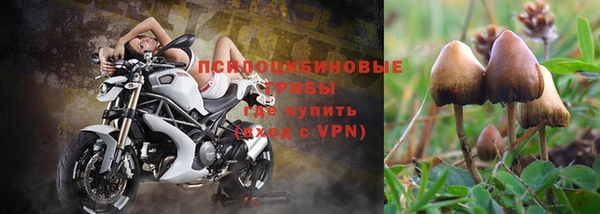 кокс Елизово